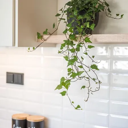 Elepoque Living 아파트 *